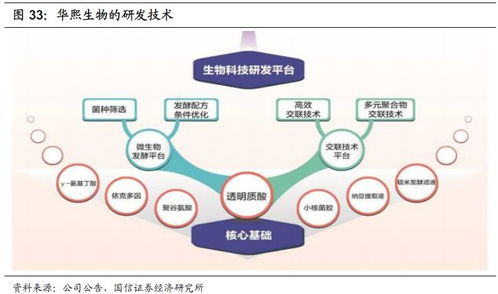 化妝品行業(yè)2020年投資展望 產(chǎn)品先行，流量催化，資本助力